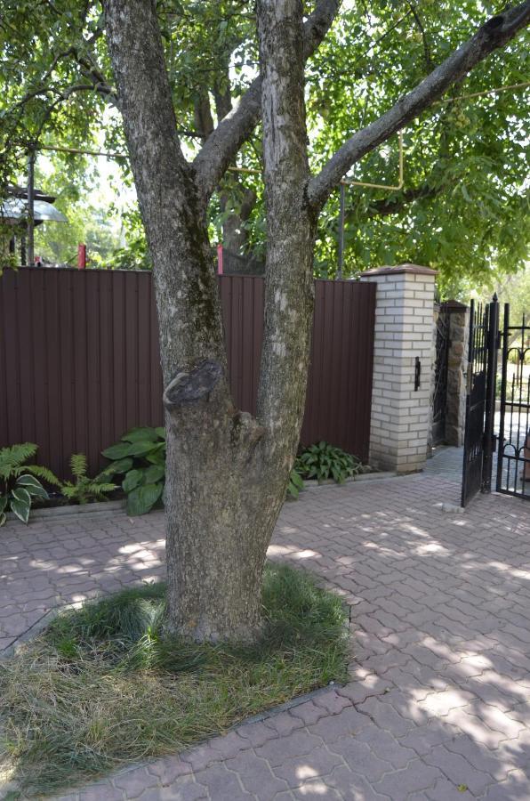 Апартаменти В Будиночку Біля Софіївського Парка Umanʼ Exterior foto